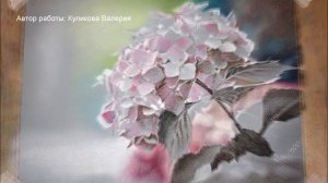 Учимся рисовать СУХОЙ пастелью поэтапно.  Гортензия.