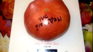 Томат Медовый эль