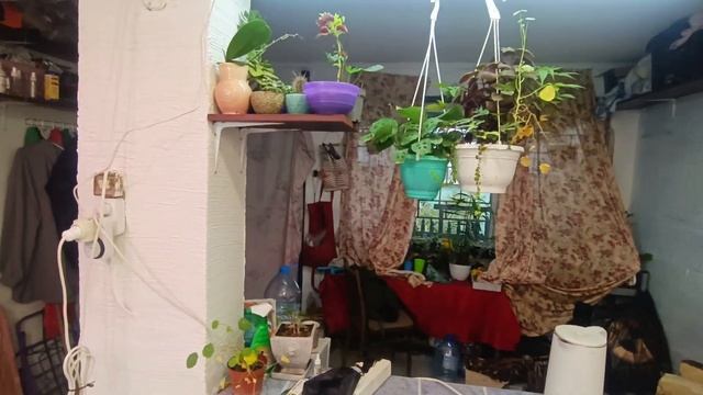 🟢Изменение в дачном домике.🟢Чуток новых растений 🟢 смотреть онлайн