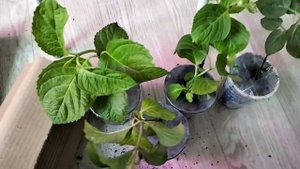 Распаковка посылочки от Натальи, канал 6соток на Урале