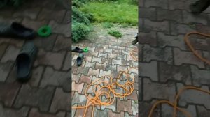 Триммер 0.9 кВт (Black+Decker GL9035)