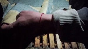Зимовка пчел в доме.  Зимовка пчел в помещении. Лучший ?