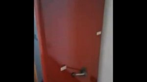 Пеллетный камин БЕЗ ЭЛЕКТРИЧЕСТВА Laminox Fiore 13,5 кВ