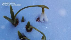 А сегодня весна (Поющие стихи Натальи Атамановой)