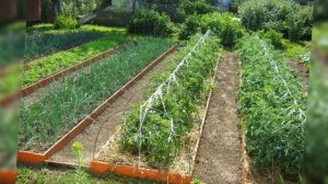 Идеальная земля для грядок своими руками — простой ре