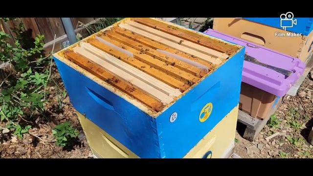 Перша побілка в магазині , метод блінова на рут смотреть онлайн