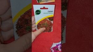 Семена за и против.🤷♀️