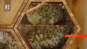 Пчеловод из Тамбовской области изготавливает крем-ме?