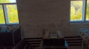 формы для заливки ульев ппу