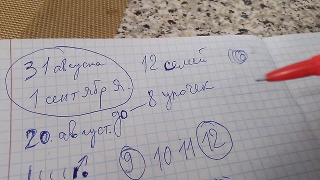 Изоляция маток на пасеке Петра.Больше не верит в теори смотреть онлайн