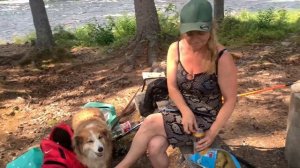 Жизнь в Швеции. На даче в Швеции. Часть третья.