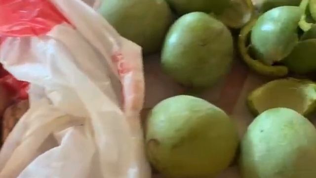 Грецкий орех Чандлер. Первое плодоношение в Крыму. смотреть онлайн