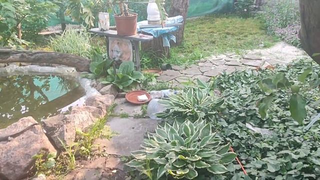 Відкриття "купального"сезону//Вуж на ранковій варті//т? смотреть онлайн