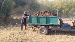 Это настоящее Эльдорадо для огородника! Вывожу ТОННЫ ?