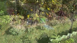 Таких Дорожек вы еще не видели