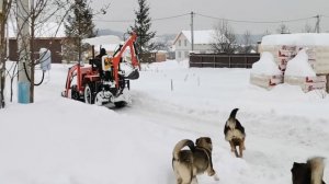 Работа на тракторе: ПОШЛИ ЗАКАЗЫ И ТЕСТ НА ПРОХОДИМОСТ