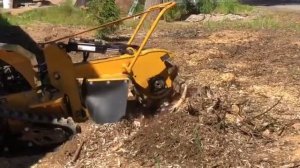 Удаление, корчевание пней на участке. Без следа.