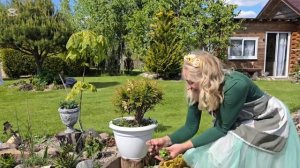 Прогулка по частному саду Татьяны. 2 часть. Сад непреры