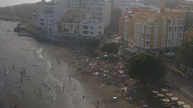 За что мы любим иван-чай: полезные свойства и помощь в ? смотреть онлайн