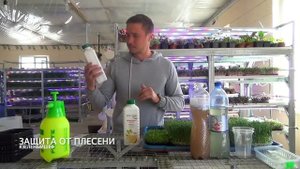 БИОпрепараты для растений  Триходермин Фитоспорин  су