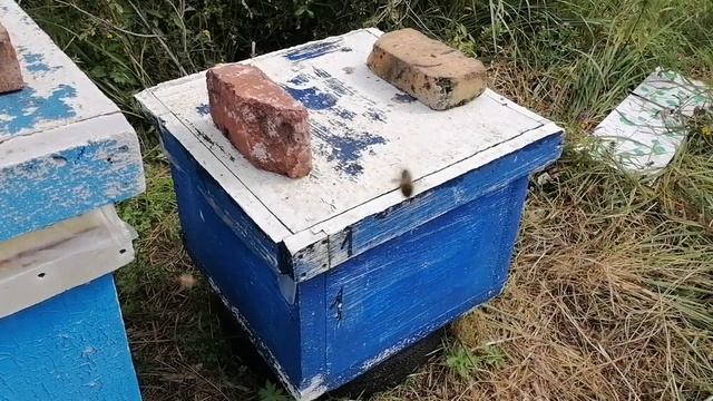 Вторая замена матки у злодеев! смотреть онлайн