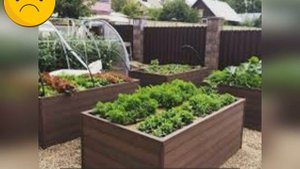 Новый тренд садоводов - грядки из ДПК. Что это, как выгл