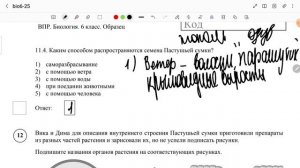 ВПР по биологии, 6 класс, 2 часть, 2025г
