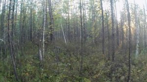 Поездка в тайгу.Проверка зимовья.