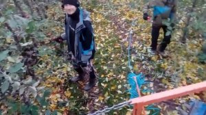 Обрезка яблони. Как Чехи промышленно обрезают сады.