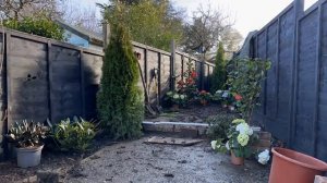 САД С НУЛЯ В БОЛЬШОМ ГОРОДЕ #2 Сад на 3 сотках