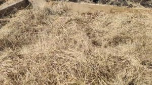 ТЕПЛАЯ ГРЯДКА для посадки огурцов, томатов, перцем, дл?