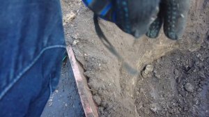 А сниму-ка я видос, как сажаем АБРИКОС! Сорт ТРИУМФ СЕВ?