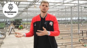 Луковицы тюльпанов оптом для выгонки к 8 марта с доста?