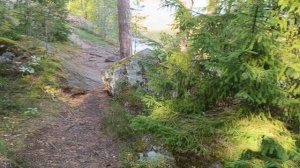 Влог из Выборга/Прогулка до парка Монрепо/Лесные троп?