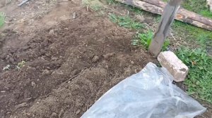 выращивание арбуза от а до Я