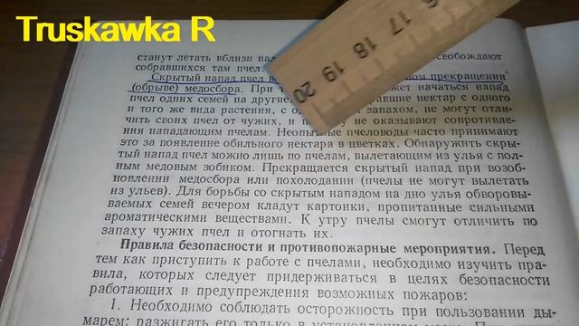 Пчёлы. Одна из самых распостранённых ошибок опытных ?