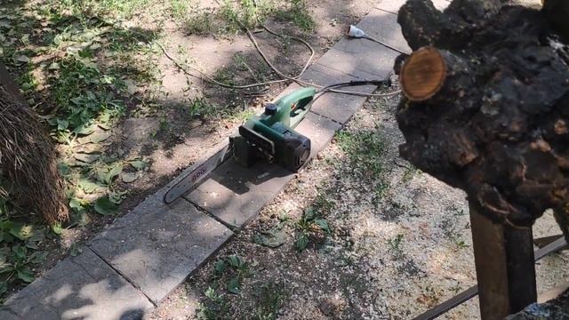 Что внутри шарообразных новобразований на стволах де? смотреть онлайн