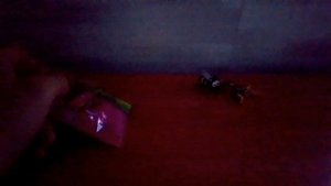 НОВАЯ АКЦИЯ В МАГНИТЕ ЗВЕРЯТЫШИ.ОБЗОР ЛЕГО ОТ МАГНИТ.