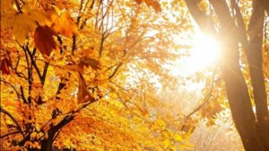 День осеннего равноденствия