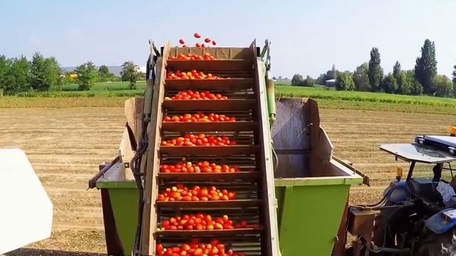 УДИВИТЕЛЬНЫЕ фрукто-уборочные машины и сельхозтехник