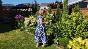 ЦВЕТУЩИЕ ЛИЛИИ - ИЮЛЬ 2025  - #цветы