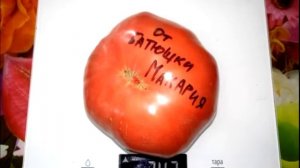 Томат От батюшки Макария