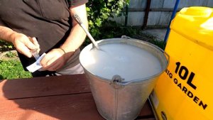 Дожди! СРОЧНО СПАСАЕМ Виноград от МИЛДЬЮ и ОИДИУМА! ПР?