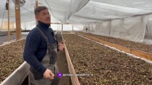 круглогодичная теплица, отопление, зонирование.