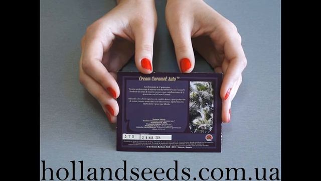 Семена конопли CARAMEL AUTO смотреть онлайн