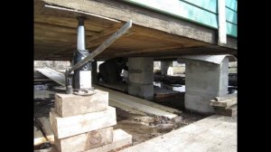 Серпула плачущая (домовой грибок) Как избавиться? Прос