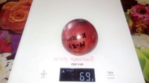 Томат Н-34 ROT красный