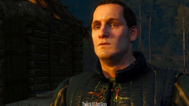 12. Нильфгаардский связной смотреть онлайн