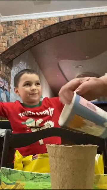 Ярослав сажает перец 🌶️ смотреть онлайн