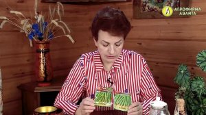 Эти Семена ФАСОЛИ Сеем и Выращиваем в Этом Году